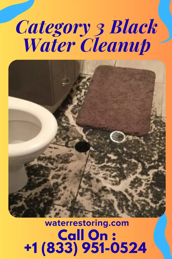 Category 3 Black Water Cleanup in Benham, KY