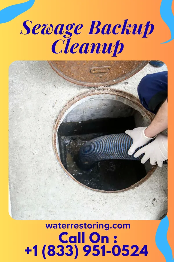 Sewage Backup Cleanup in Benham, KY